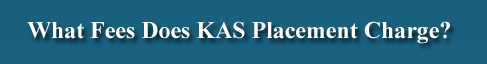 executive recruiting solutions